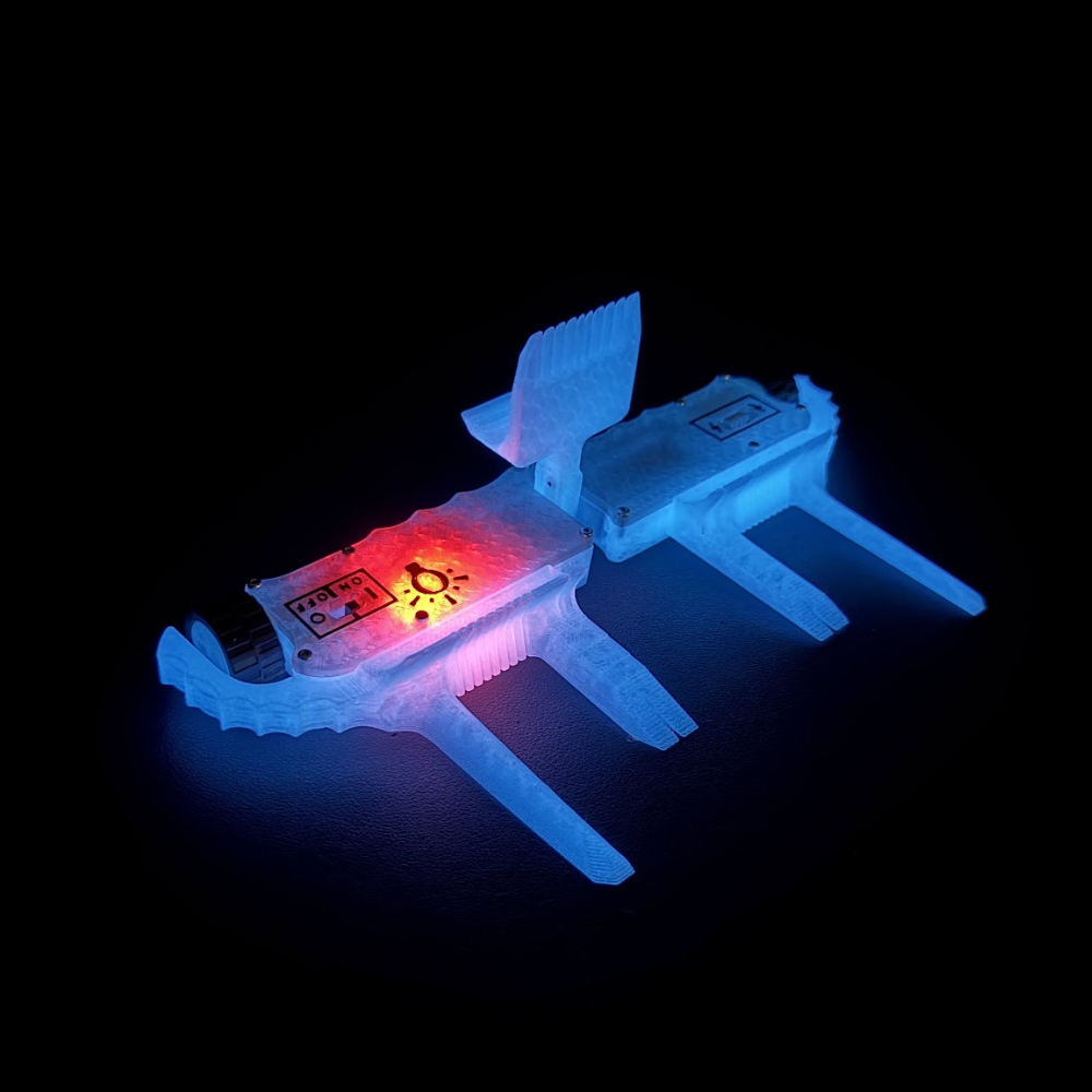 ZIPZOP - 150g COMBAT ROBOT KIT
