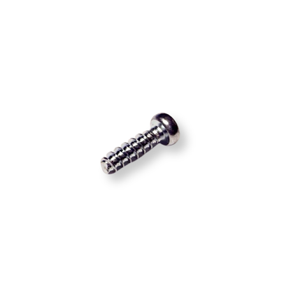 A single small metal screw with a threaded shaft, shown on a plain white background.
