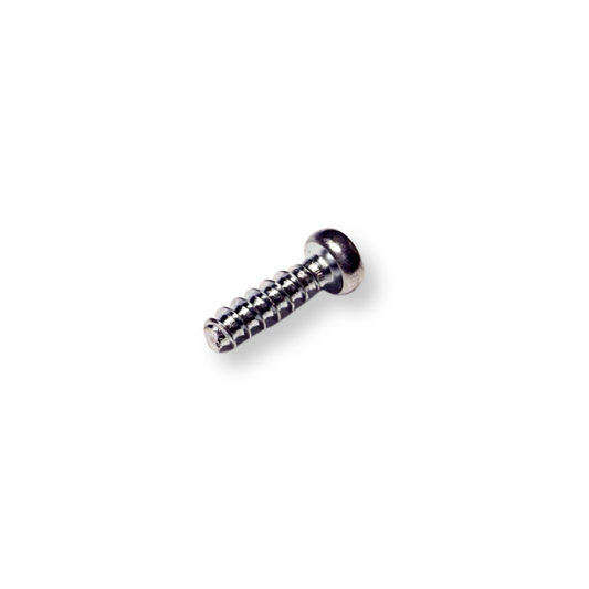 A single small metal screw with a threaded shaft, shown on a plain white background.