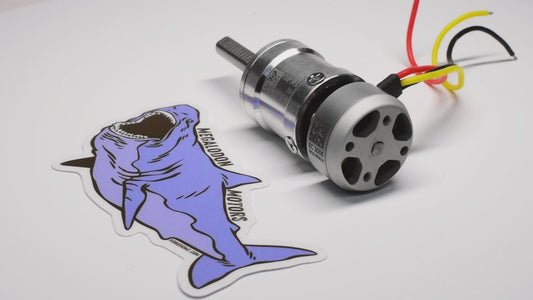 Megalodon 2005 Beetleweight Brushless Gearmotor